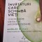Marilee Adams - Invataturi care schimba vieti. 12 instrumente mentale de autoperfectionare