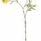 Ranunculus artificial 3 flori galbene 60h