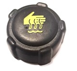 Buson Vas Expansiune Dacia Logan Renault Clio Megane 8200048024 7700805031 6001546641 8200224612 8200244498