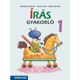 &Iacute;r&aacute;s gyakorl&oacute; - Anyanyelvi fejlesztőf&uuml;zet - MS-1661V - Ratk&oacute;czy G&aacute;born&eacute;