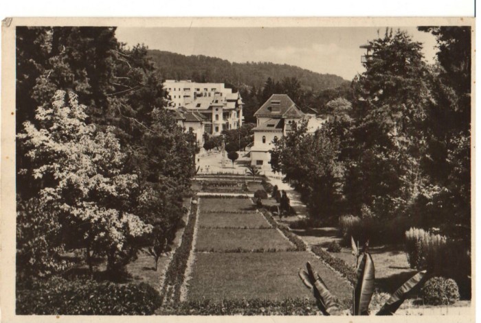 CPIB 22660 - CARTE POSTALA - GOVORA. PARCUL, RPR, 1953