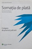 Somatia de plata. Culegere de practica judiciara - Simona Gina Pietreanu, Marcel Dumitru Gavris