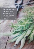 Gradina mea cu plante medicinale. Cum sa le cultivam, sa le pastram, sa le utilizam - Serge Schall