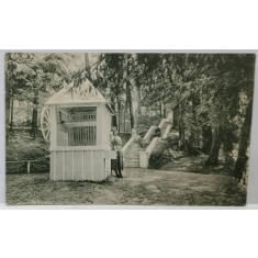 FERMA - FAGARAS , TINERE LA FANTANA CRAIESEI , CARTE POSTALA , 1921