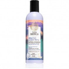 Natura Siberica Taiga Siberica Siberian Juniper Berry șampon pentru protecția părului vopsit 270 ml