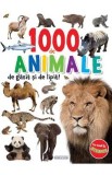 Cumpara ieftin 1000 de animale de gasit si de lipit