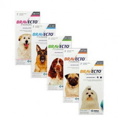 Bravecto 250 mg x 1 tbl-4.5-10 kg pentru caini foto