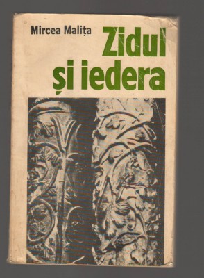 C9737 ZIDUL SI IEDERA - MIRCEA MALITA foto