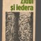 C9737 ZIDUL SI IEDERA - MIRCEA MALITA