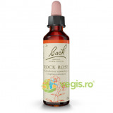 Bach 26 Rock Rose (Trandafir Salbatic) Picaturi 20ml