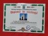 Diploma Excelenta General Dobrin Iuliu, Veteran de Razboi, Asociatia Nationala, Colectie, Acte, Documente, 30x21cm