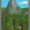 CPIB 23810 CARTE POSTALA - CABANA CHEILE BICAZULUI SI PIATRA ALTARULUI, CIRCULATA, 1973, STAMPILE, TIMBRU
