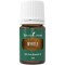 Ulei Esential Myrtle (Ulei Esential Mirt) 5 ML