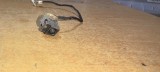 Cumpara ieftin Conector Power DC Laptop HP Compaq CQ57, Dc conector