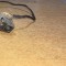 Conector Power DC Laptop HP Compaq CQ57