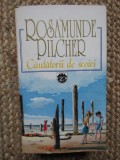 CAUTATORII DE SCOICI-ROSAMUNDE PILCHER