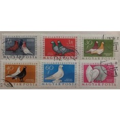 Ungaria 1957 - porumbei, serie stampilata