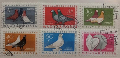 Ungaria 1957 - porumbei, serie stampilata foto