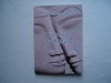 Cioplitor de himere - Emil Mircea Nesiu, Alta editura