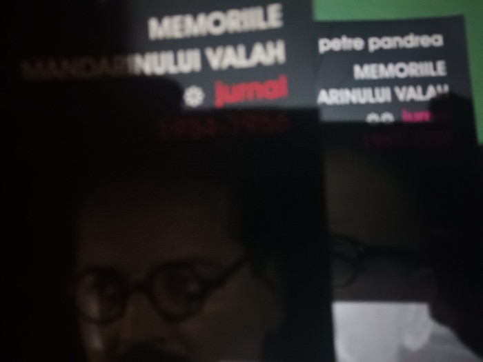 MEMORIILE MANDARINULUI VALAH - JURNAL 1954-1958 - PETRE PANDREA 2011 1072 pag