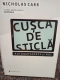 Cusca de sticla - Nicholas Carr, Editura Publica, 2014, 304 pagini