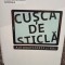 Nicholas Carr - Cusca de sticla (Editia: 2014)