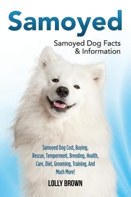 Samoyed: Samoyed Dog Cost, Buying, Rescue, Temperament, Breeding, Health, Care, Diet, Grooming, Training, and Much More! Samoye foto