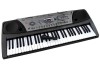 Orga electronica 61 de clape cu citire prin MP3 player MQ-810USB