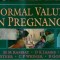 Normal values in pregnancy - M. M. Ramsay