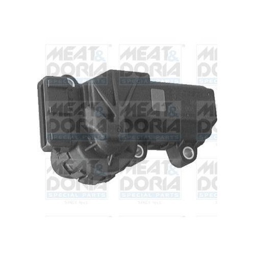 Meat &amp;amp; Doria Control, clapeta acceleratie