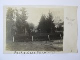 Cumpara ieftin Rara! Carte postala foto Targoviste-Parcul Chindia ocupatia germana 1917, Necirculata, Circulata, Fotografie, Printata, Dambovita