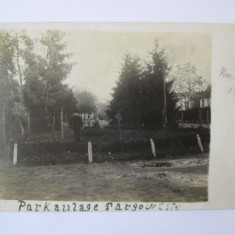 Rara! Carte postala foto Targoviste-Parcul Chindia ocupatia germana 1917