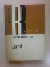 Jurnal - IACOB NEGRUZZI foto