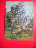 HOPCT 14980 PEISAJ-IOAN ANDREESCU 1850-1882 --ROMANIA -- CP PICTURA - -CIRCULATA