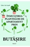 Inmultirea plantelor de apartament prin butasire - Celine, I Do It Myself