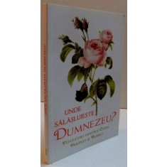 UNDE SALASLUIESTE DUMNEZEU ? POVESTIRI PENTRU COPII , PARINTI SI BUNICI , 2013