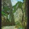 CPIB 19838 CARTE POSTALA - CHEILE DAMBOVICIOAREI