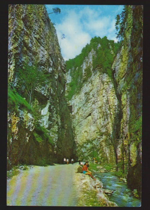 CPIB 19838 CARTE POSTALA - CHEILE DAMBOVICIOAREI