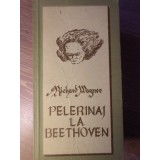 PELERINAJ LA BEETHOVEN-RICHARD WAGNER-102972