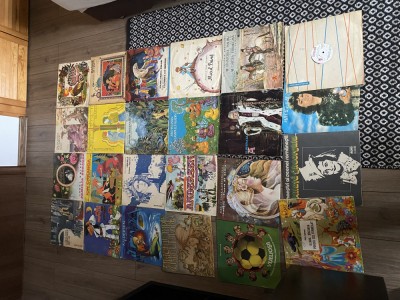 V&amp;acirc;nd viniluri cu povesti foto