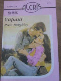 VAPAIA-ROSE BURGHLEY-344328