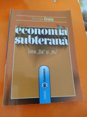 Economia subterana intre Da si Nu- Nicolae Craiu foto