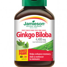 Ginkgo Biloba 80mg, 90 comprimate, Jamieson