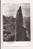 RF205 - Carte Postala - Muntii Fagarasului. Acul Cleopatrei, necirculata