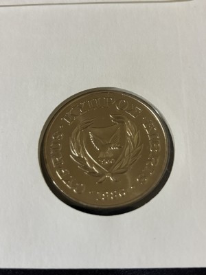 Cipru 1986 &amp;ndash; 1 Pound &amp;ndash; 25 de ani WWF &amp;ndash; Muflon, Numisbrief moneda foto