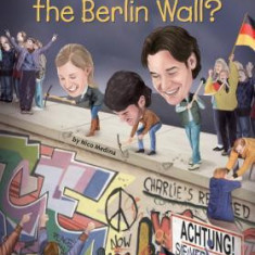 What Was the Berlin Wall?