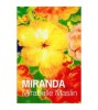 Mirabelle Maslin - Miranda - 111281