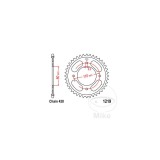 MBS Kettenrad 42Z Teilung 428, Innendurchmesser 080 Lochkreis 110, Cod Produs: 7272149MA