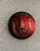 Insigna rusia