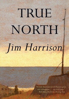 True North foto